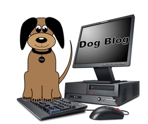 Dog Blog